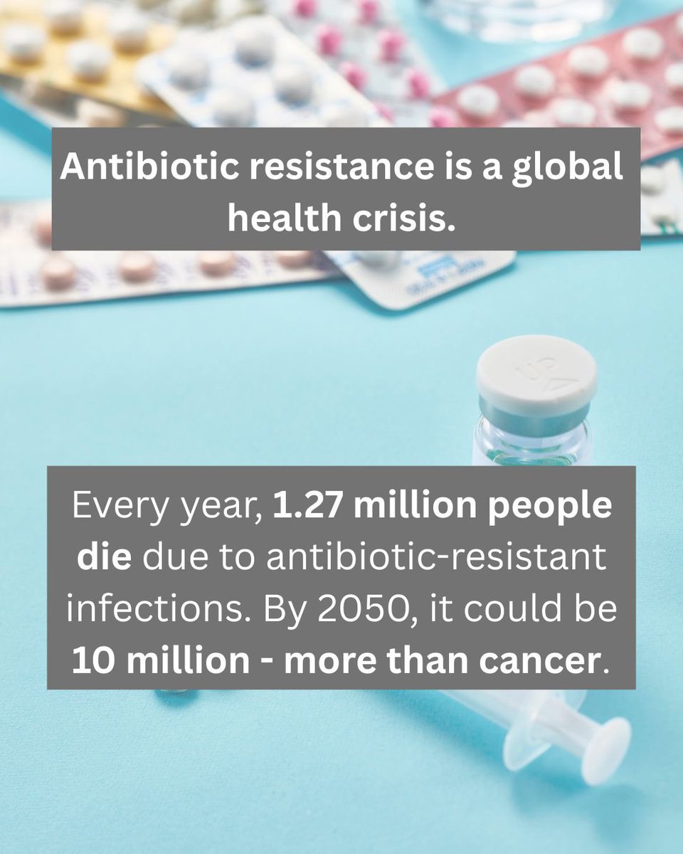 ScrapFactoryFarming tweet media