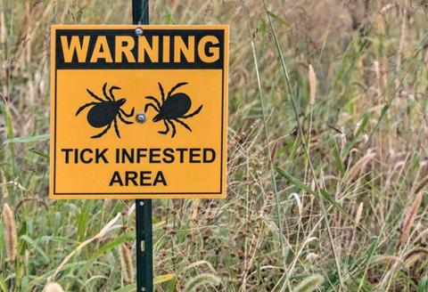 Milder winters and rainy springs help the parasites thrive in the U.S., and emergency-room visits for bites are up. advisorstream.com/read/ticks-are…