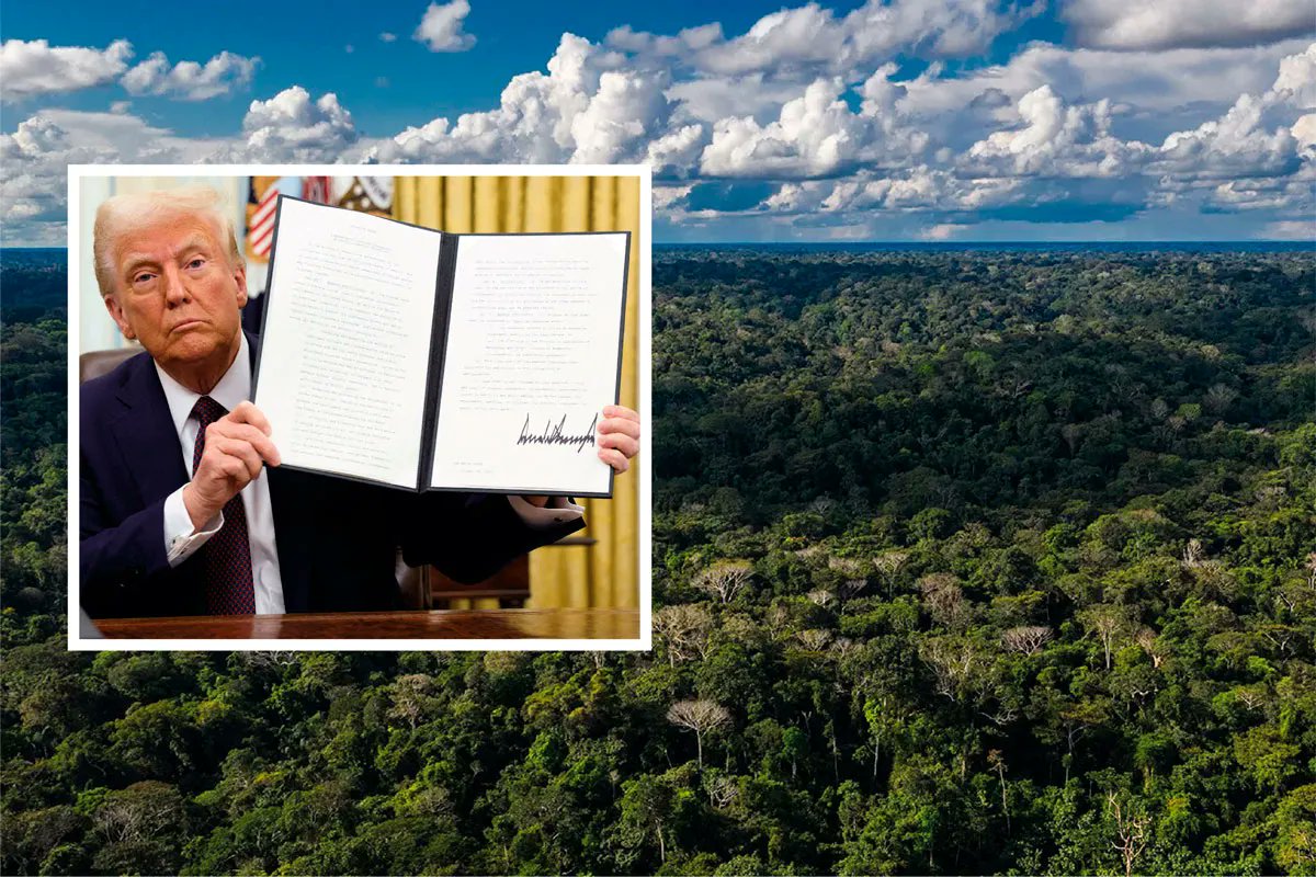 Actualidad Ambiental (@actualidadspda) on Twitter photo 🖋️Efecto Trump en Brasil y Perú: discurso negacionista y retroceso ambiental► bit.ly/3IEwdMp
Según <a href="/DourojeanniMarc/">Marc Dourojeanni</a>, las políticas de <a href="/realDonaldTrump/">Donald J. Trump</a> han tenido repercusión en Brasil y Perú, donde se pretende cambiar la legislación en perjuicio de la biodiversidad. 🖋️Efecto Trump en Brasil y Perú: discurso negacionista y retroceso ambiental► bit.ly/3IEwdMp
Según <a href="/DourojeanniMarc/">Marc Dourojeanni</a>, las políticas de <a href="/realDonaldTrump/">Donald J. Trump</a> han tenido repercusión en Brasil y Perú, donde se pretende cambiar la legislación en perjuicio de la biodiversidad.