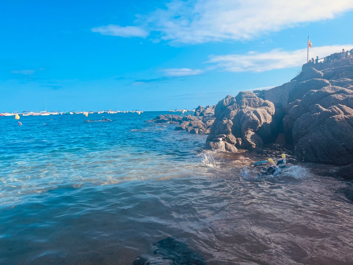 nuuriett_nunu's tweet photo. Vitamina empordanesa 🩵 #empordà #vitaminarse #costabrava #primeraparada https://t.co/ThQIu10BFB