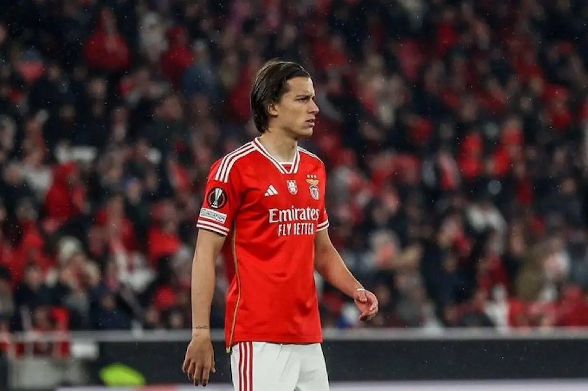 🔝Álvaro Carreras es nuevo jugador del #RealMadrid

⭐​​El ya ex del Benfica vuelve a donde comenzó su carrera

👀¿Cómo cuadra en el esquema de Xabi Alonso? ¿Será titular desde el inicio?

✍️​ Las respuestas te las trae <a href="/VictoriusRM/">Vic</a>