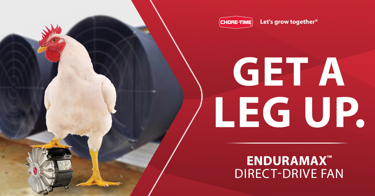 Upgrade your poultry house climate with the EnduraMax™️ Direct-Drive Fan—now featuring a high-efficiency LG motor for enhanced performance and reliability.

Work smarter, keep your flock cooler and reduce your operating costs with EnduraMax™️. bit.ly/3HqbHhQ