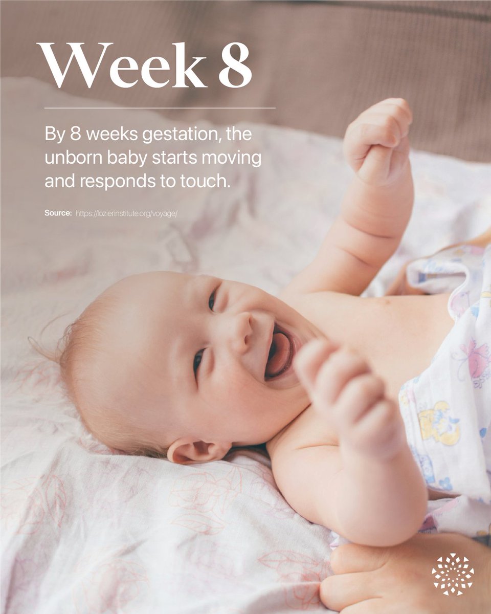 LozierInstitute's tweet image. By 8 weeks gestation, your baby begins to move and respond to touch!
Learn more about the Voyage of Life 🔽
lozierinstitute.org/voyage/