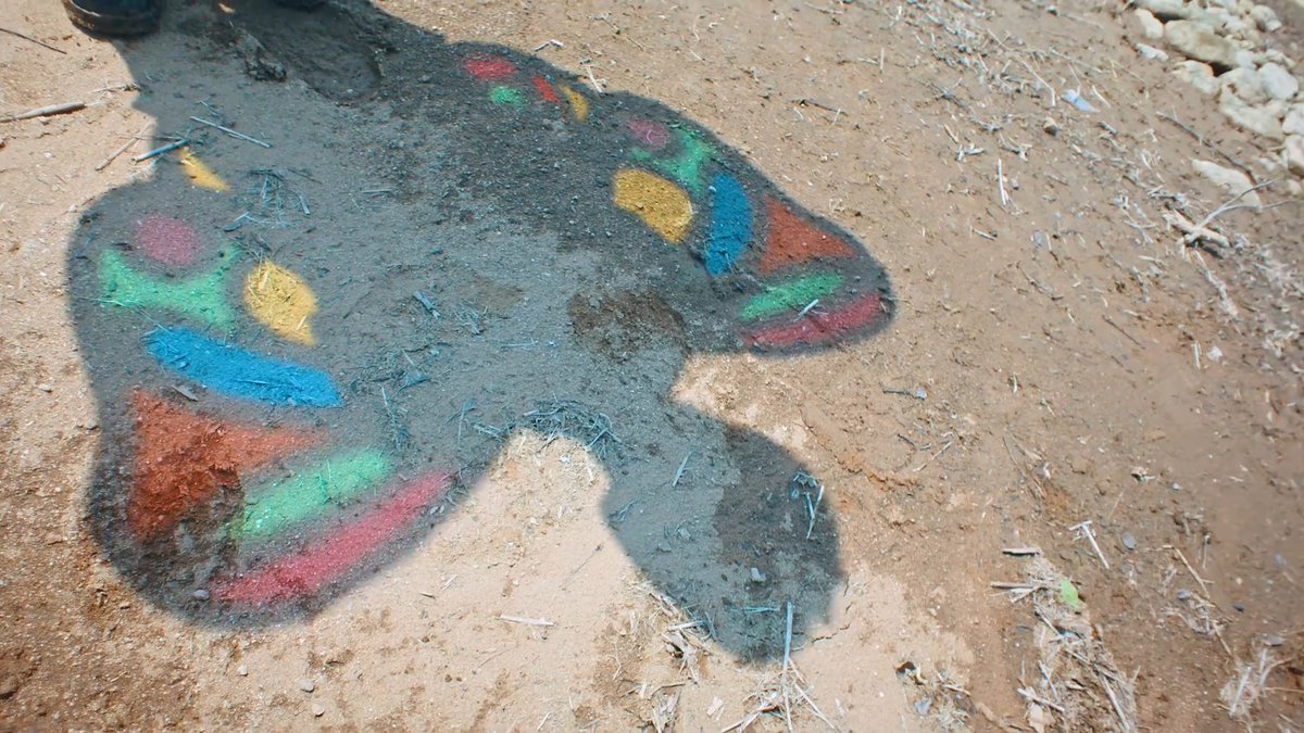 골든크로우즈 tweet media