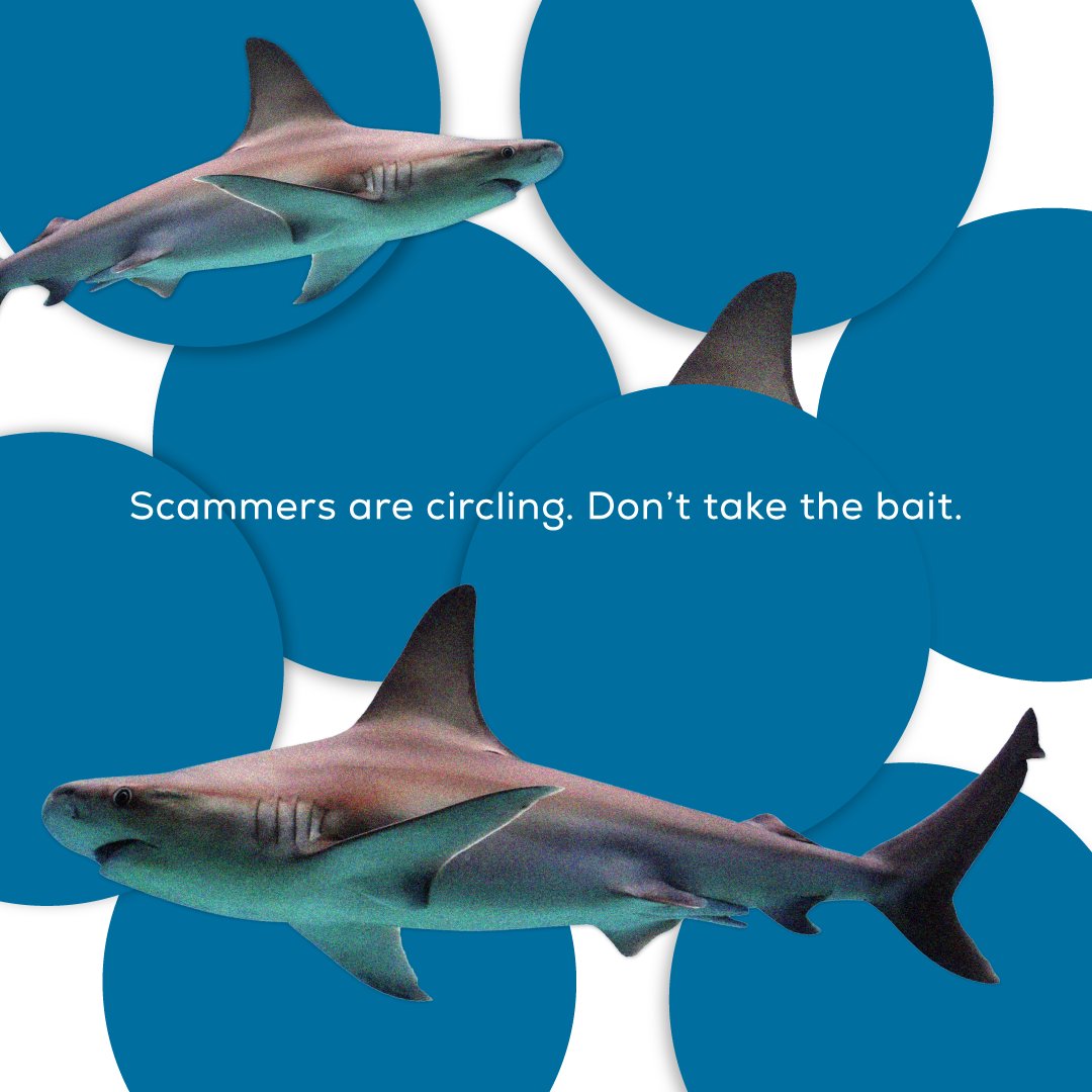 Happy Shark Week! But sharks aren’t the only things you should watch out for🦈 Just like you wouldn’t dive into shark-infested waters, don’t swim into a scam.
✅CU will never ask for your personal info via text or direct message
✅If something feels fishy, call CU at 417-863-9000