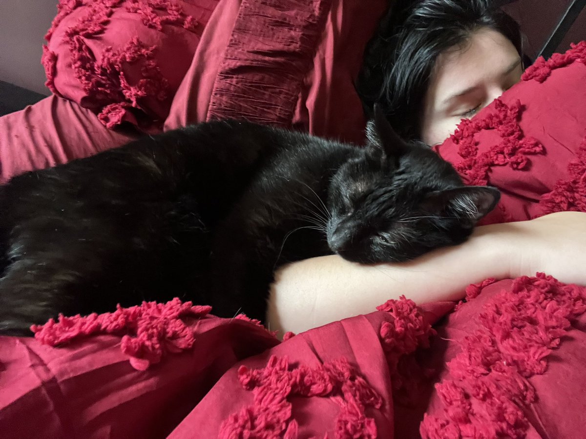 _Hexting's tweet image. My little sweetie pie