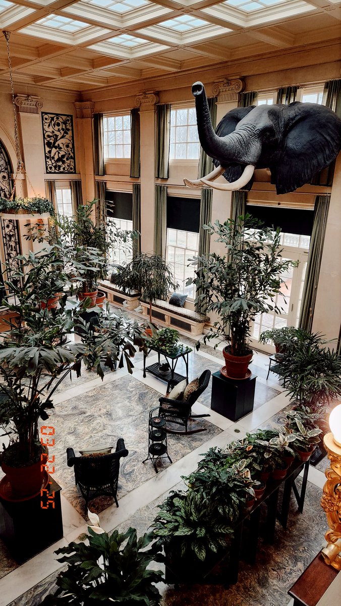 RachelNNews's tweet image. This Rochester GEM celebrates 75 years! The George Eastman Museum opened to the public in 1949. Did you know it houses more than 400,000 photographs & 31,000 motion pictures?!