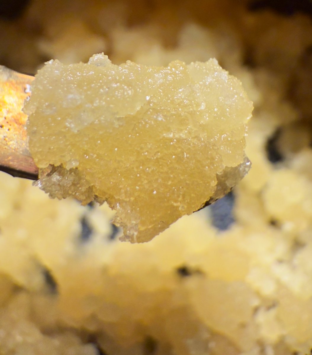 MORSxGAMING's tweet image. To my second dab on Tuesday out the @oolvvglass smoking on some white widow from @phoenix_whalen
USE CODE: MORSX @oolvvglass
Cheers everyone 💫✨
#GlobSquad
@axelsdad559 @GrunchyRolls
@vizurantvis @BubbaForReal @sospooky101 @Tokes4Gohan @NMack710 @potholes_offic…