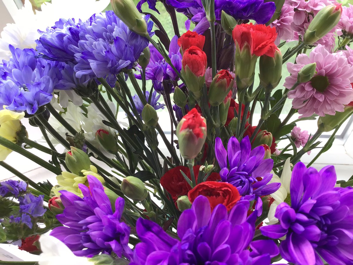 WhitegateBirch tweet media