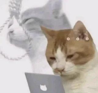 samirande_'s tweet image. Chat gpt everytime for no reason :
"great question..."
"You're absolutely right..."
"You're acting like a senior dev..."
"You're doing it absolutely right..."