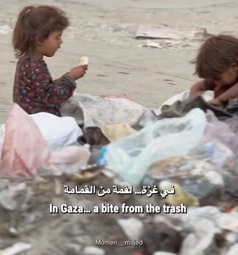 MotazSaleh2001's tweet image. We are still starving.
Are you still with us ? Do you hear us !๐๐ต๐ธ
If you see this pic, PLEASE leave a dot. spread it ๐