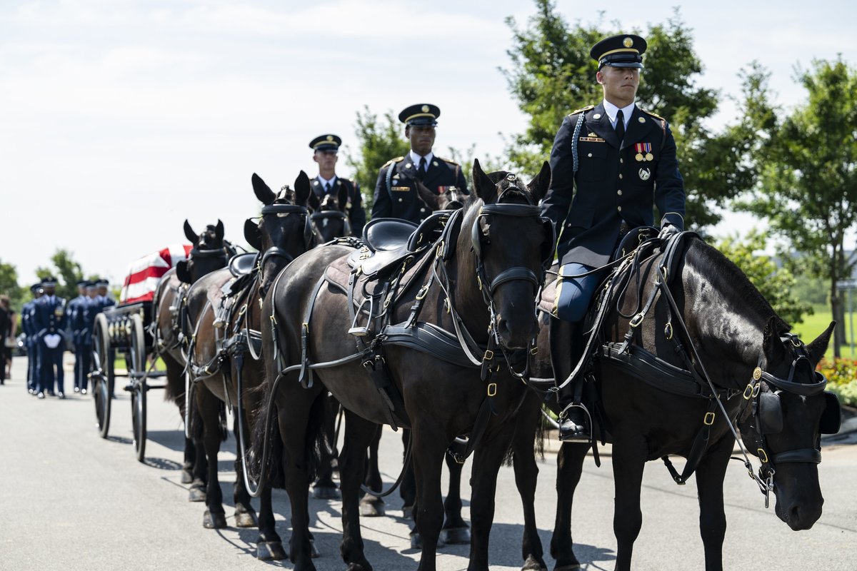 ArlingtonNatl's tweet image. “Welcome Home, Brother”: Vietnam Pilot Lt. Col. Donald "Donny” Downing Laid to Rest: arlingtoncemetery.mil/Blog/Post/1478…
📸 Elizabeth Fraser
More photos: flickr.com/photos/arlingt…
