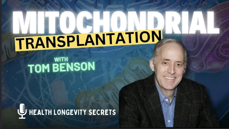 robertlufkinmd's tweet image. We discover the wonders of Mitochondrial Transplantation with Tom Benson in this week's episode of the Health Longevity Secrets Show with Dr Robert Lufkin watched by >800k followers.
robertlufkinmd.com/video-podcast/