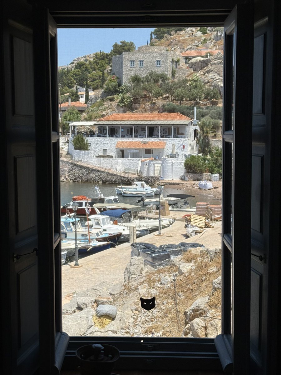 Retyred4good's tweet photo. How about a room with a view
#ThroughTheWindow🪟 https://t.co/IXj5IkmkXF