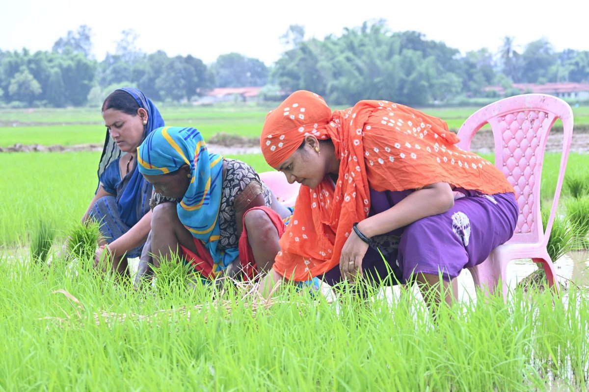 लघुत्तम: कुर्सी-कुर्सी