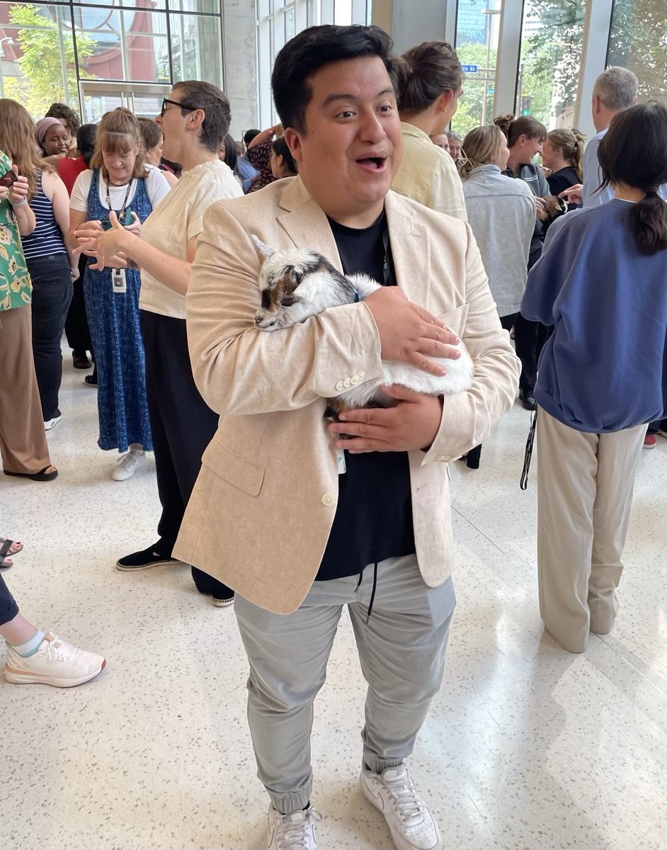 MplsWard9's tweet image. It’s animal therapy day at City Hall! We got to hold a small breed of domestic goats that originated in West Africa. 🐐