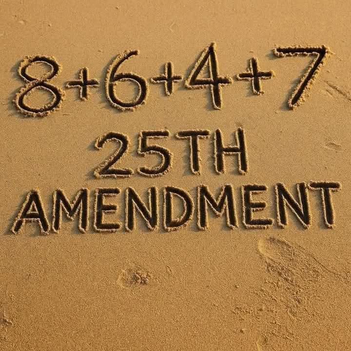 TheGr8Illusion's tweet image. Besides impeachment, military removal, & the people forcibly removing Rapist Felon Criminal Fascist tRump,
there is also a way to 86 47 via the 25th amendment.
Whatever your desire,
tRump must be imprisoned for life today by any means necessary to rot & die for his crimes!β¦