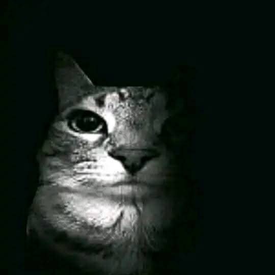 Rodvel09 tweet picture