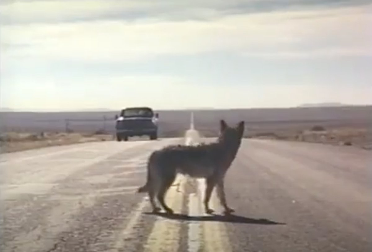 rlgransden's tweet image. Today&apos;s Film of Today is

Made in U.S.A. (1987)