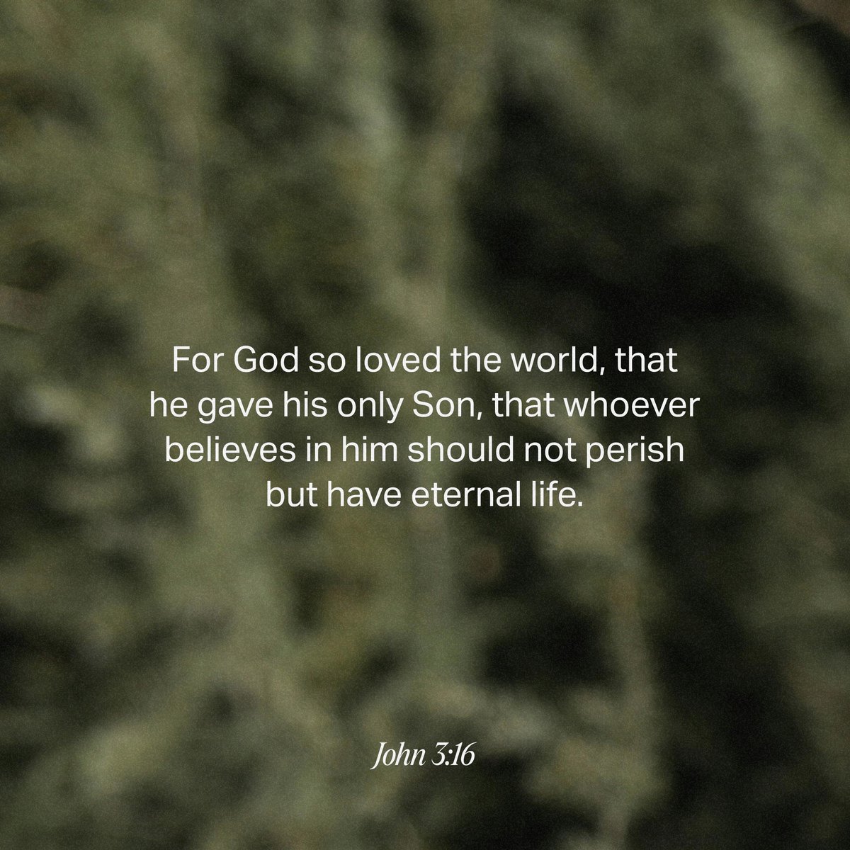 John 3:16