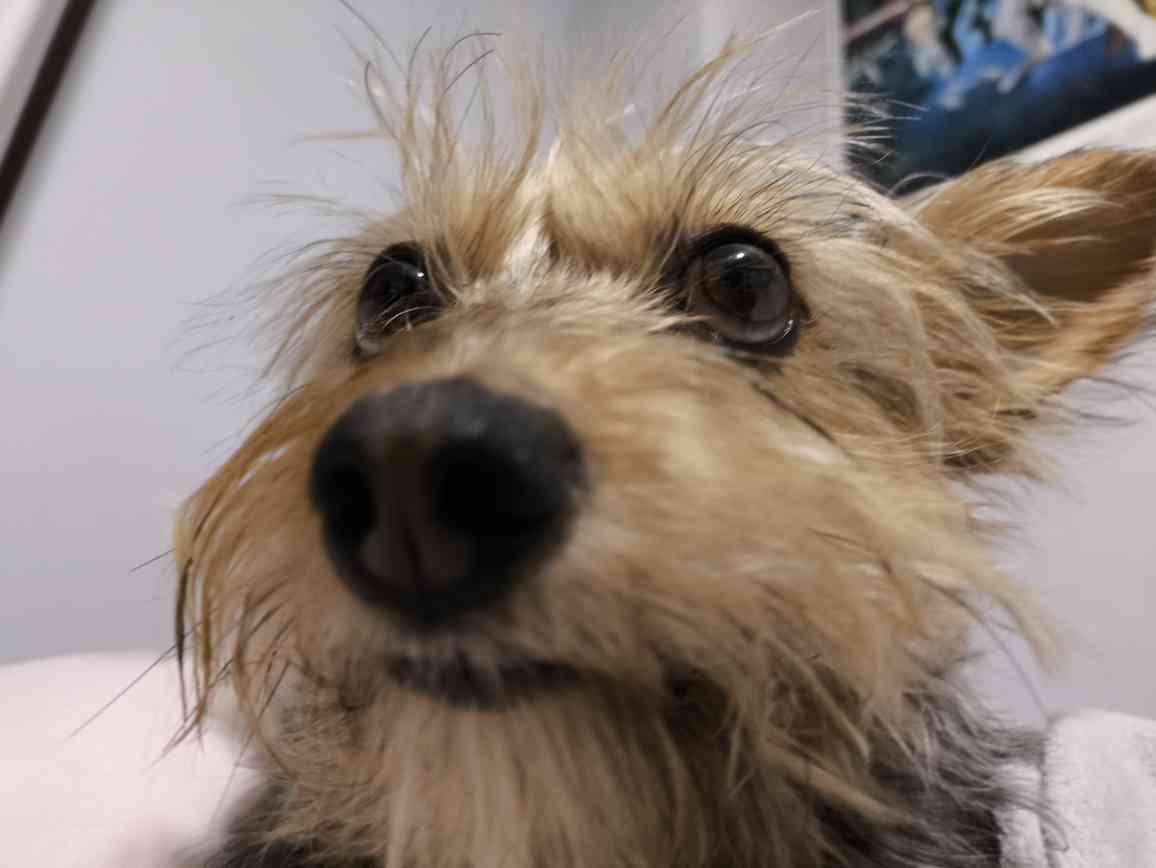 chavales estoy aqui ahora mismo, vengan que vamos a romper stream

twitch.tv/vrykogd