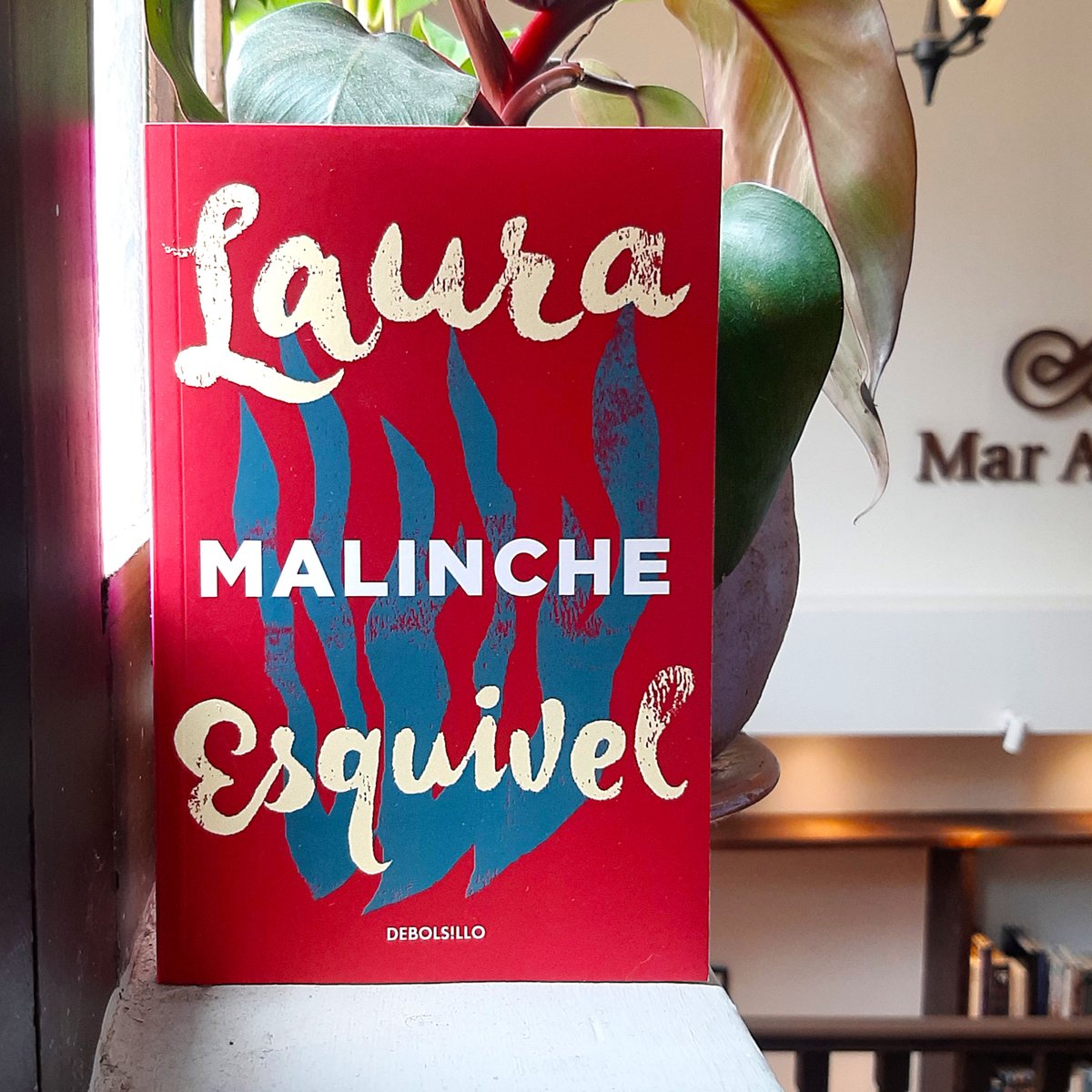 𝗠𝗮𝗹𝗶𝗻𝗰𝗵𝗲
Laura Esquivel | @penguinrandomhouse
$330

Visítanos en Esteban Morales 524 entre Zaragoza y Landero y Coss, Centro Histórico del #PuertodeVeracruz
Lunes a sábado, de 10 a 22 h
WhatsApp librería 2291617437
#LibreríaMarAdentro #Veracruz #Libros #Cafe