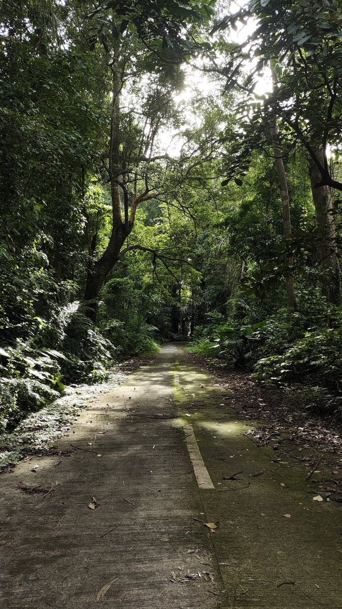 kaeloraptor's tweet photo. Ganda mo makiling https://t.co/eYZtyImO3Y