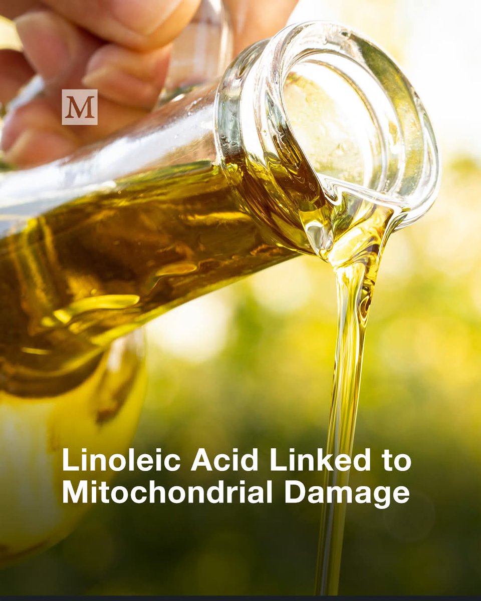 permacultureGB's tweet image. Too much linoleic acid from vegetable oils may harm your mitochondria, affecting energy levels and metabolism. Scientists are sounding the alarm on this common ingredient.