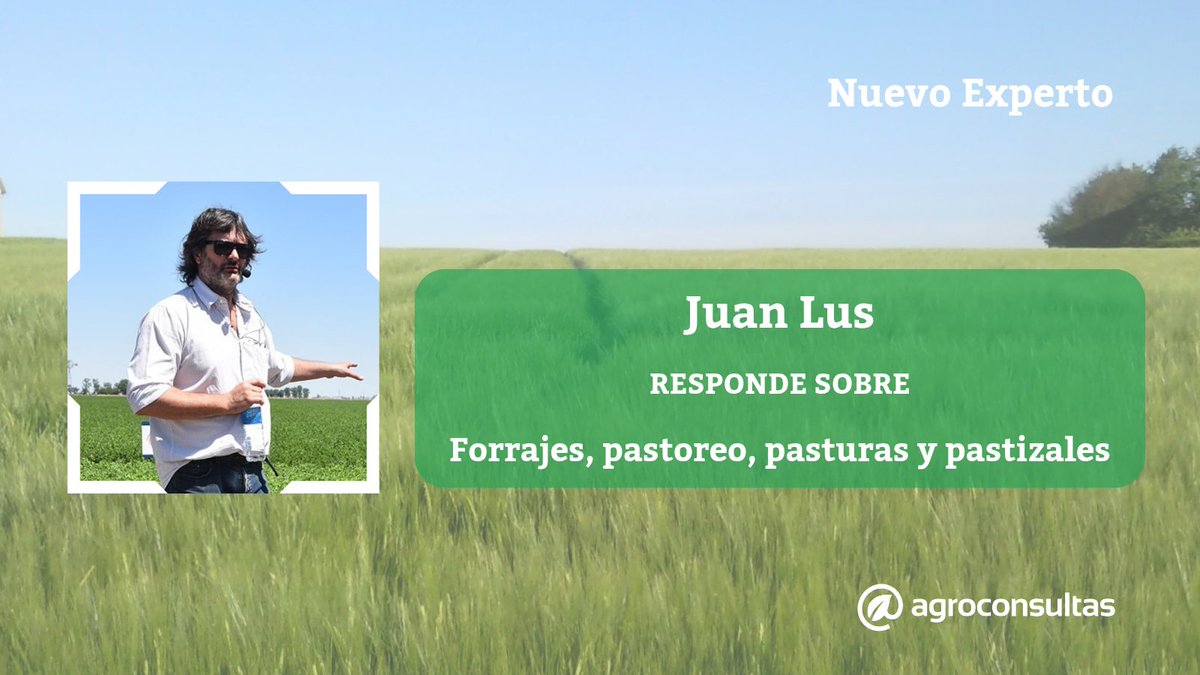 agroconsultas's tweet image. ¡Bienvenido Juan Lus al panel de expertos de Agroconsultas!

¿Tenés consultas sobre forrajes? 🌱

Juan se encuentra disponible para resolver tus consultas 👉🏻 agroconsultas.online/J-Lus

#forrajes #pasturas #pastizales #cultivos #ganaderia #agro #campo #agroconsultas #expertoagro