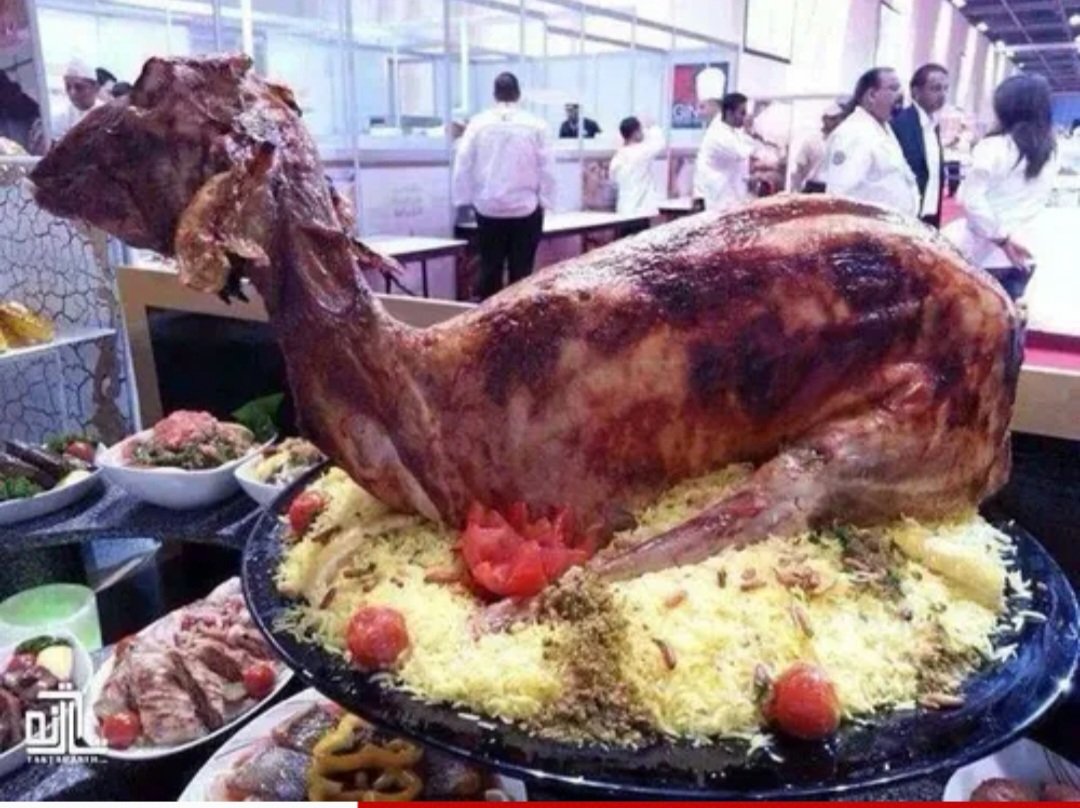 ahmad106571's tweet image. عربهای وحشی دوباره رویش اجداد شان را پیش گرفته اندوبه جاهلیت رو آورده اند:
#حیوانیت
#بی_شرفی
#دیوثی
عربهای فلسطینی ازگرسنگی میمیرندوزیربمبهای چندانی خاک میشوندولی سران کشورهای شاهی عربی برای هردونفر یک گوسفندمیخورند برای ترامپ دیوثی میکنند.
#اللهم_عجل_لولیک_الفرج_بحق_الحسین_ع