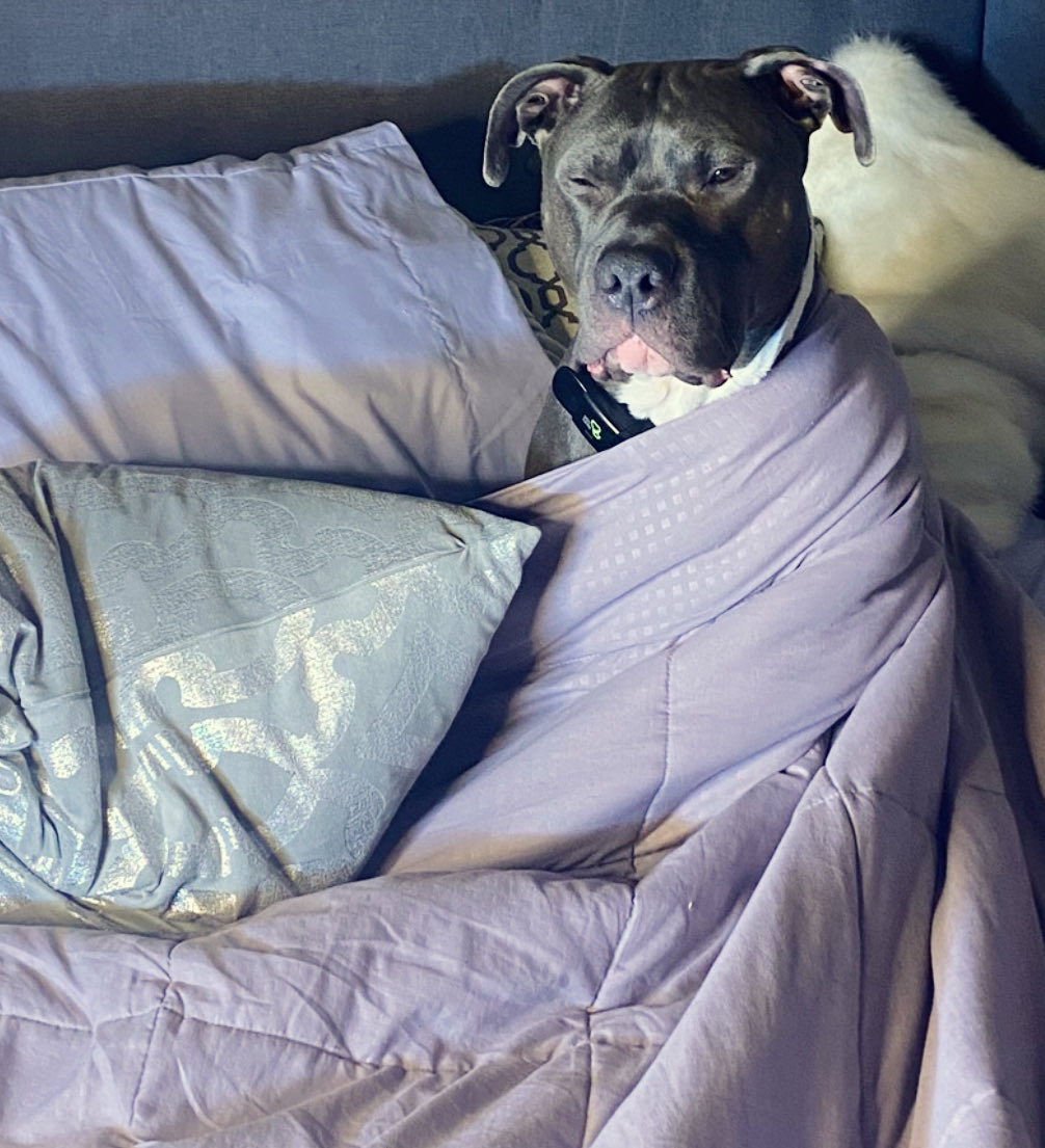 OMGinaeth's tweet image. gm can you turn the lights Mr. Sleepyhead needs five more minutes! πΎ