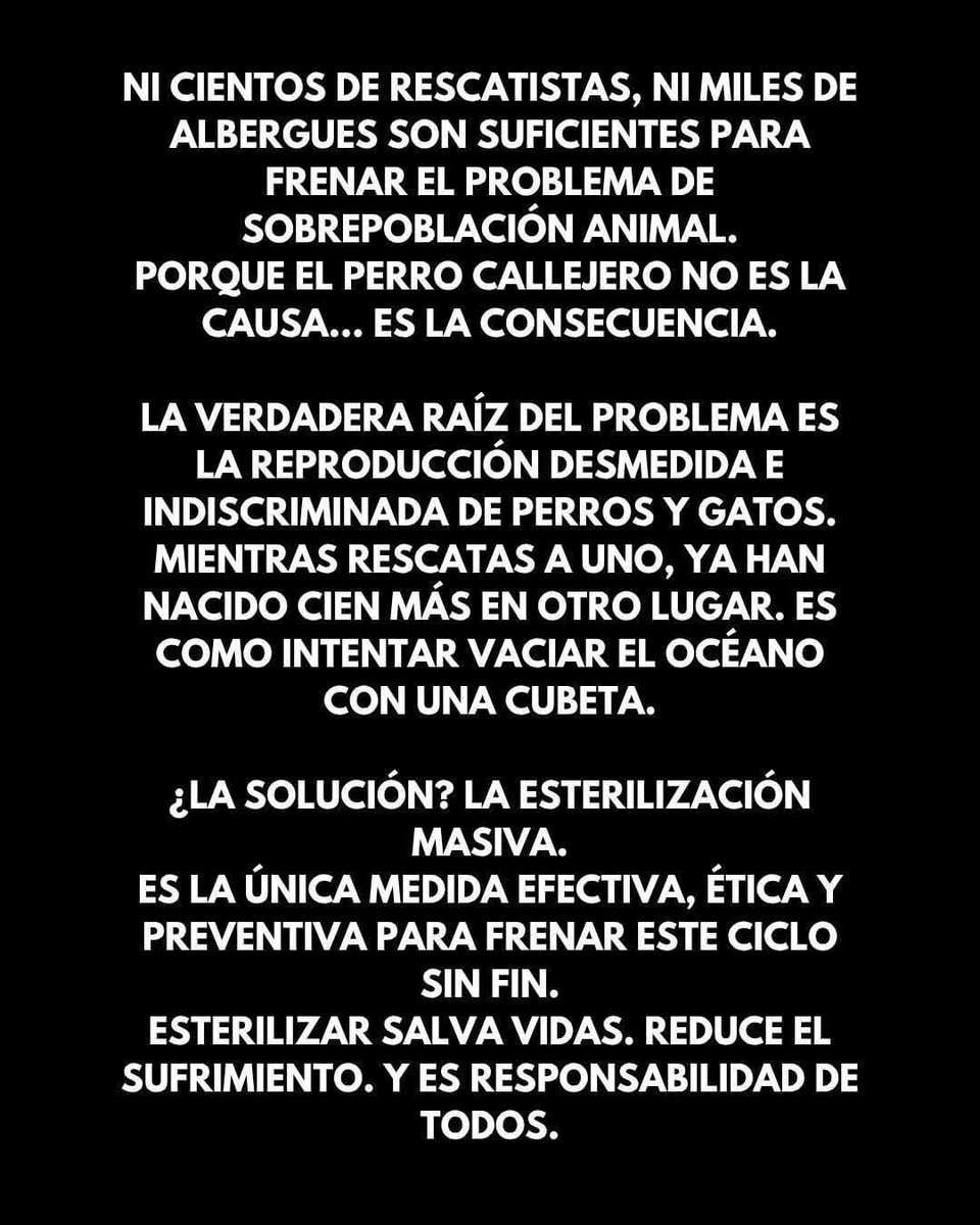 FUNDAPEPUEBLA's tweet image. 💚 Queremos seguir esterilizando y ayudando 💚
Muchísimas personas de escasos recursos nos piden apoyo para esterilizar a sus perritos o gatitos… y queremos seguir diciendo que ¡sí podemos ayudarte!
Pero para lograrlo necesitamos de ti 🐾
Si está en tus manos donar, aunque sea…