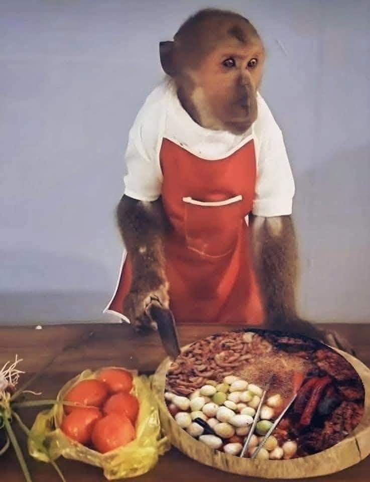 🧑‍⚕️👩‍⚕️Yo poniendo un puesto de tacos porque renuncie a ser personal de salud: