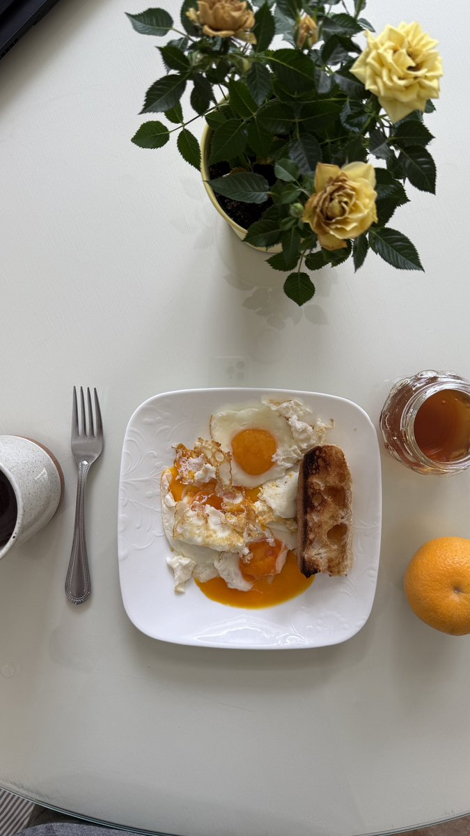 metabolicwave's tweet image. Homemade orange simple syrup
3 local well sourced eggs
Coffee with sugar
Sourdough bread
Orange
