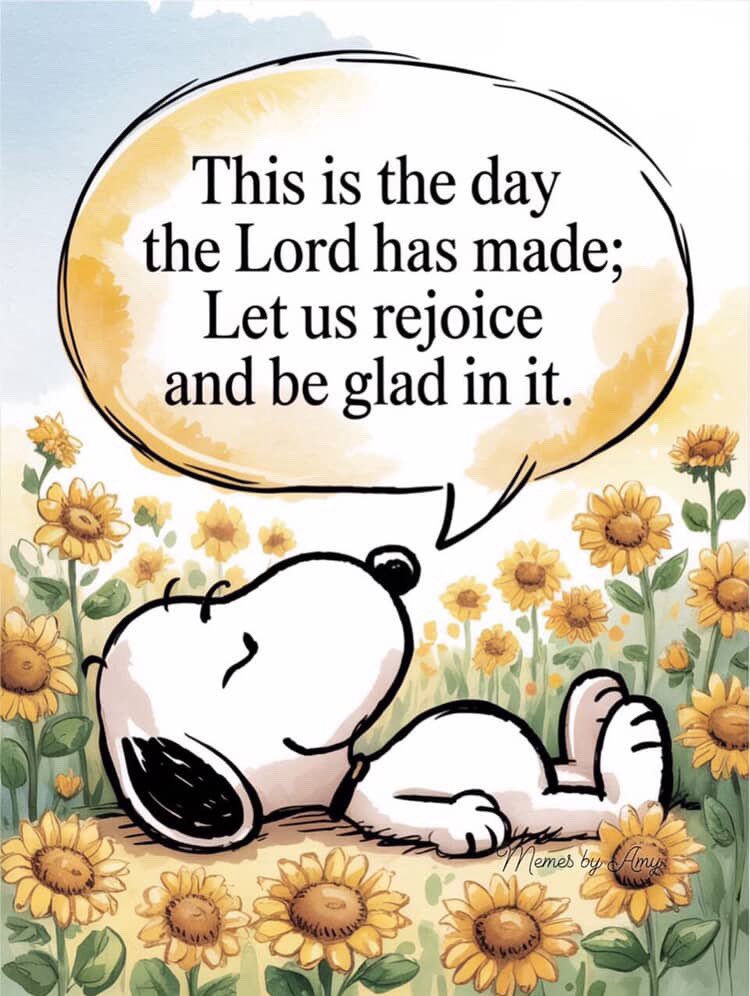 Tabby Kie ✝️✡️🇺🇸 (@tabby_edwards) on Twitter photo 