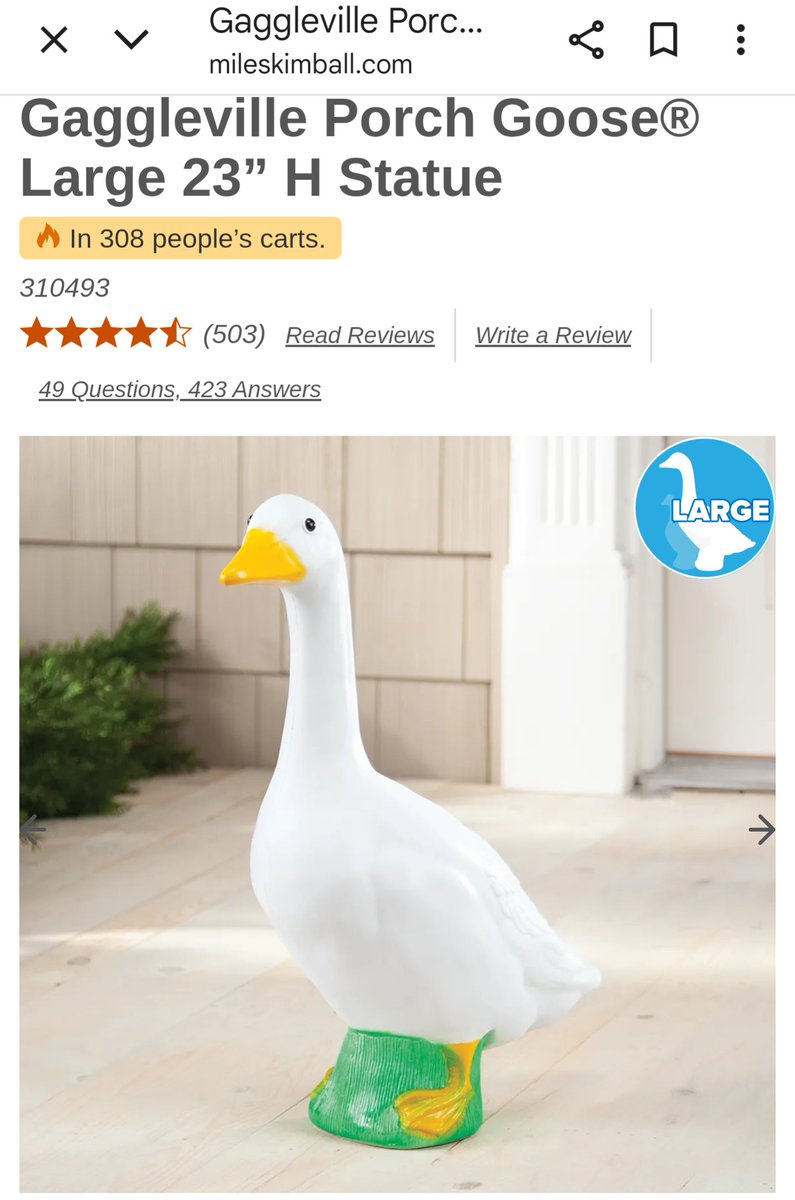 k_paster (@kristen_gp) on Twitter photo I've decided I'm going to join the #ClassroomGoose trend! <a href="/MilesKimball1/">Miles Kimball</a>, is there any way you can hook me up with a large goose and an outfit or two? I think my students will get a kick out of it! 🪿❤️🙏🏻 share.google/WVsQJiW0wzdwj7… I've decided I'm going to join the #ClassroomGoose trend! <a href="/MilesKimball1/">Miles Kimball</a>, is there any way you can hook me up with a large goose and an outfit or two? I think my students will get a kick out of it! 🪿❤️🙏🏻 share.google/WVsQJiW0wzdwj7…