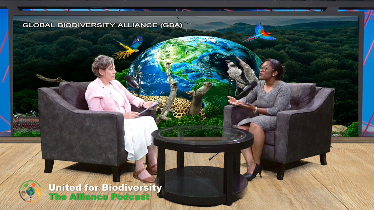 Guyana’s voice is on the global biodiversity stage! 🇬🇾🌱
UNDP Guyana’s RR, <a href="/KatyThompsonROL/">Katy Thompson</a> features in the United for Biodiversity video podcast, sharing how we’re helping lead the charge for nature and people.
🎥 Watch here: t.ly/noaRV

#UNDPGuyana #NaturePositive