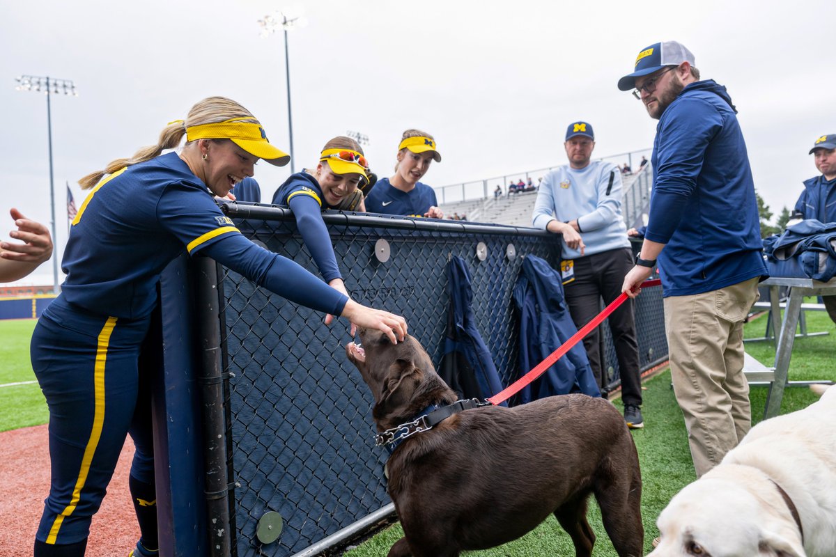 umichsoftball's tweet image. Dog days of summer. 🐾

#GoBlue