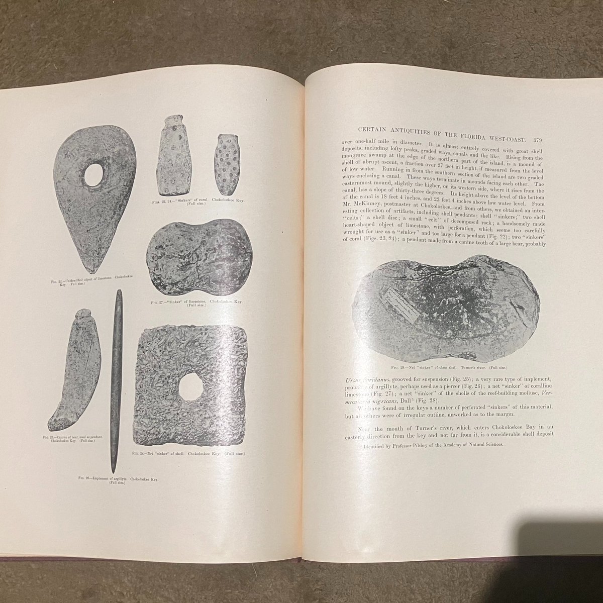 DrGregLittle2's tweet image. My newest Clarence B. Moore report: "Antiquities of the West Florida Coast" (1900).