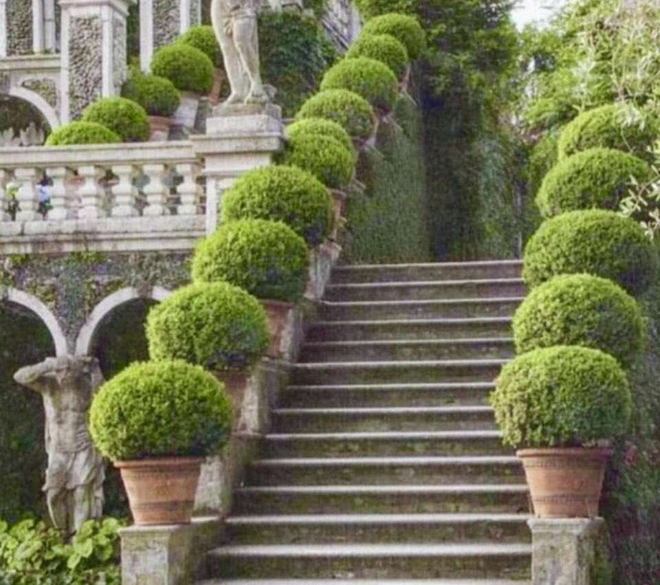Vitalbiz's tweet image. A journey of a thousand miles begins with a single step….
- Chinese Proverb