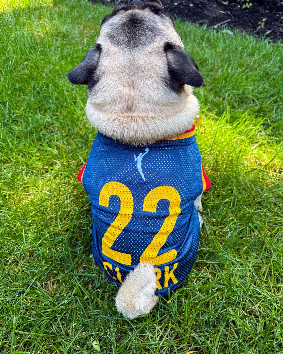 FeverTeamStore's tweet image. Who said we were the only ones that can rep Caitlin Clark?
Whether it's game day or just a walk in the park, never miss an opportunity to show off your Fever gear so don't wait and go fetch your jersey now 🔥🤩 buff.ly/lcALTkT