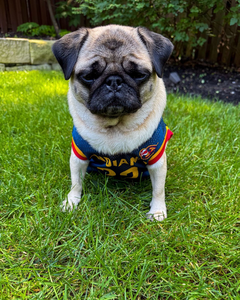 FeverTeamStore's tweet image. Who said we were the only ones that can rep Caitlin Clark?
Whether it's game day or just a walk in the park, never miss an opportunity to show off your Fever gear so don't wait and go fetch your jersey now 🔥🤩 buff.ly/lcALTkT
