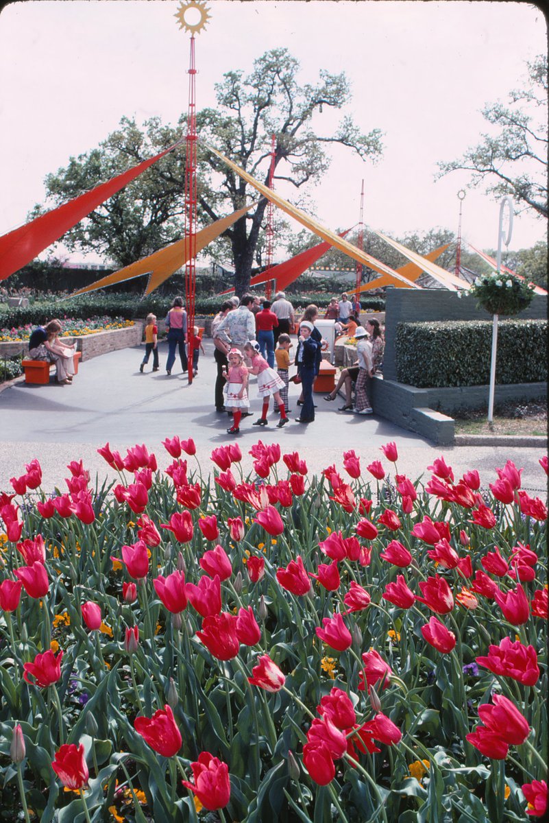 AmusementSource's tweet image. #TBT: Name one aesthetic piece you&apos;d like to see return to Six Flags Over Texas...we&apos;ll go first! The Banderas de Colores (covered walkway.

#ThrowbackThursday #SixFlagsOverTexas #SFOTSource #SixFlags #ThemePark #AmusementSource