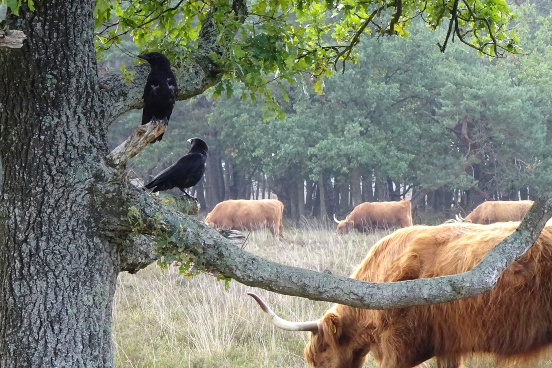 FlintBlackBird's tweet image. Night all.
You forgot the video. Check if you have one. 😉