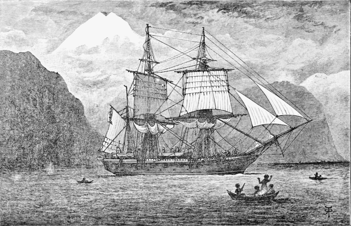 NikoMcCarty's tweet image. Here is a story that most people don’t know about Charles Darwin.
In 1832, during the early months of his voyage aboard the HMS Beagles, Darwin was docked at Cape de Verd, off the coast of West Africa, and gathered some dust into a little tube. The dust had scratched the…