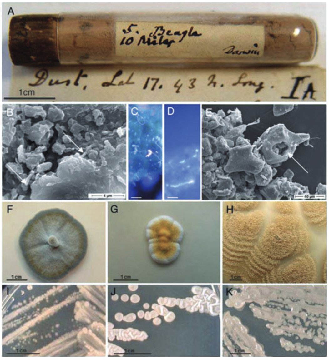 NikoMcCarty's tweet image. Here is a story that most people don’t know about Charles Darwin.
In 1832, during the early months of his voyage aboard the HMS Beagles, Darwin was docked at Cape de Verd, off the coast of West Africa, and gathered some dust into a little tube. The dust had scratched the…