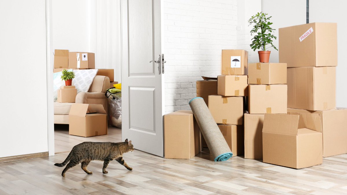 📦 Getting ready to move? You can conveniently manage your utility services online!

📲 Submit an online request to start or stop your service as early as the next business day.

👉 Visit fcgov.com/startstop