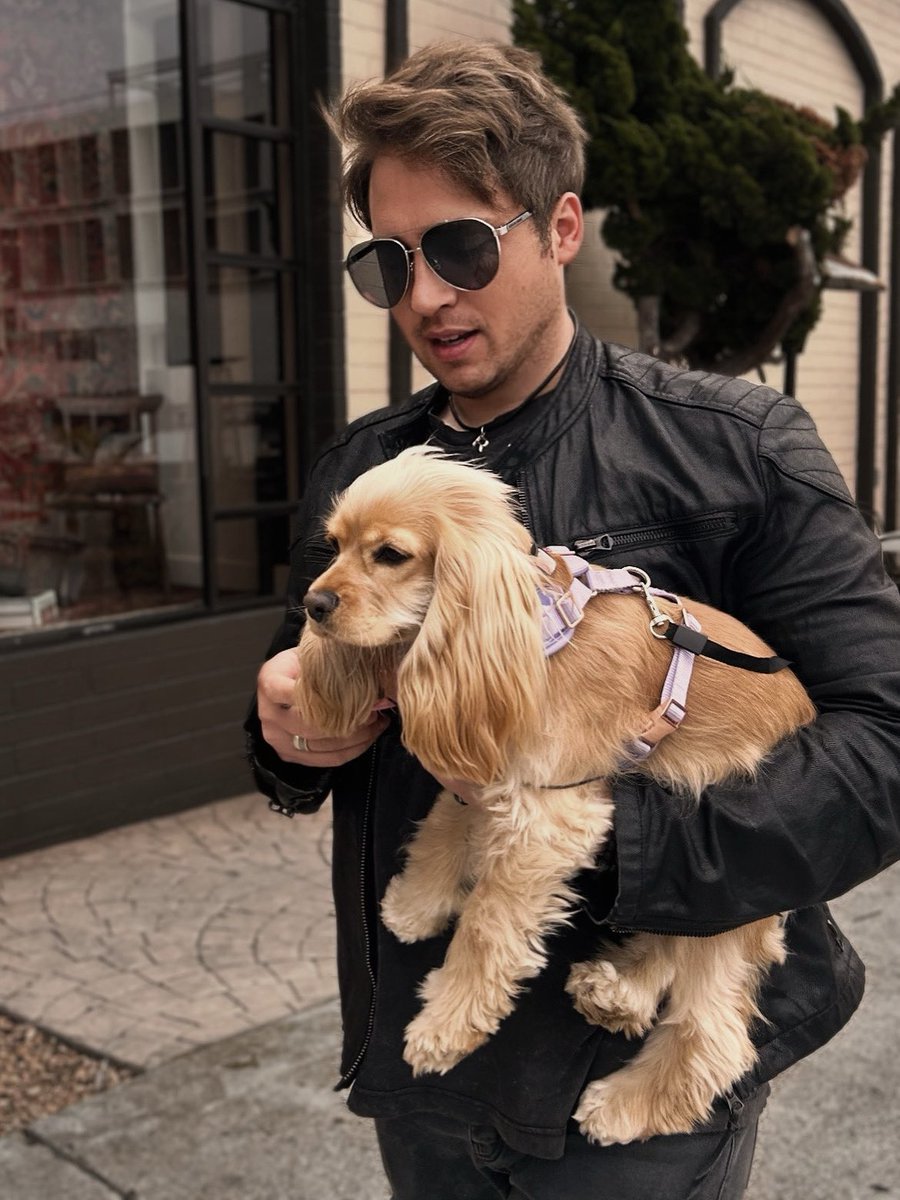 underscoregeoff's tweet image. Found a cute puppy