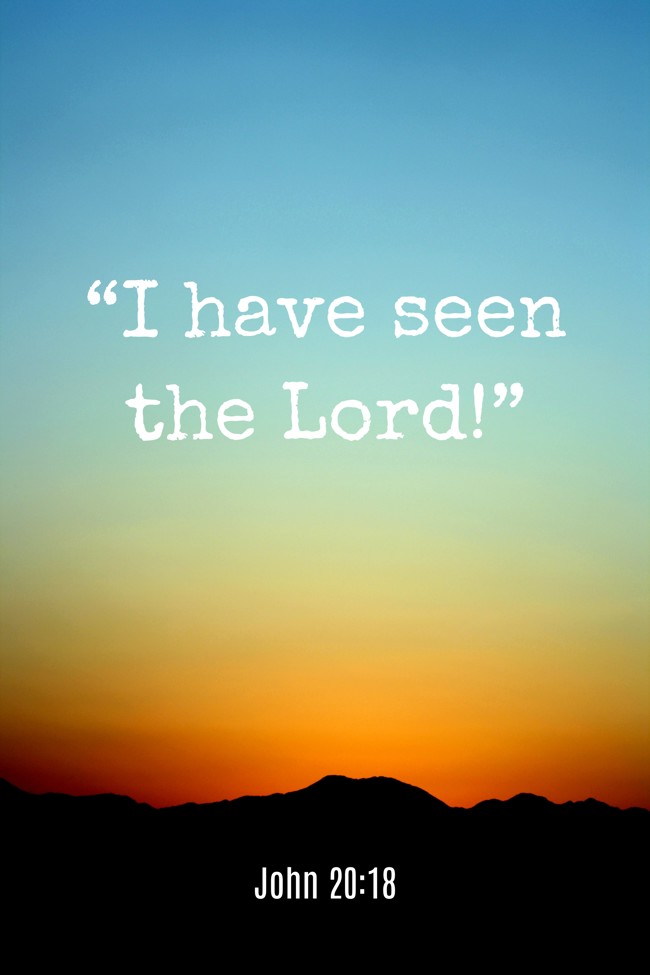 Sr Jessica tweet media