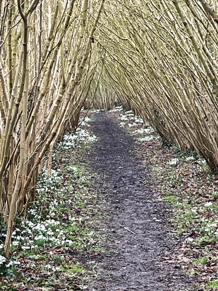 If you're coming on today's Group Walkaround beautiful, &amp; very welcoming, Newnham have a wonderful time.
It's one of my favourites &amp; we look forward to seeing your photos of lots of nuts in the amazing Nuttery ;-) #northamptonshirewalks